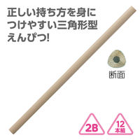 アーテック 三角鉛筆2B(12本組)ナチュラルウッド 74911 1セット(1包×3)（直送品）
