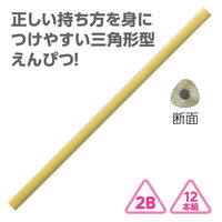 アーテック 三角鉛筆2B(12本組)クリームイエロー 74910 1セット(1包×3)（直送品）