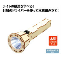 アーテック 木製ハンディライト組立キット 58814 1セット(1個×2)（直送品）