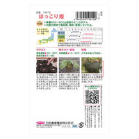 日本農産種苗 ほっこり姫 4960599190109 1セット(3袋入)（直送品）
