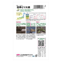 日本農産種苗 四季どり大根 4960599190307 1セット(5袋入)（直送品）
