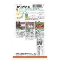 日本農産種苗 紅くるり大根 4960599191809 1セット(3袋入)（直送品）