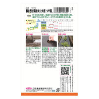 日本農産種苗 春まき耐病総太り大根(つや風) 4960599191700 1セット(3袋入)（直送品）