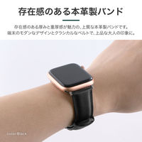 Apple Watch 42(Series 1/2/3)/44/45/46/49mm バンド 「CORVIN」プランプレザーバンド ブラウン（直送品）