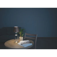 電響社 ZEPEAL ボトルライト BR ZLZ-10JA(T) 1個（直送品）