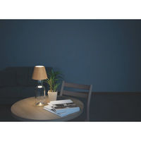 電響社 ZEPEAL ボトルライト BE ZLZ-10JA(C) 1個（直送品）