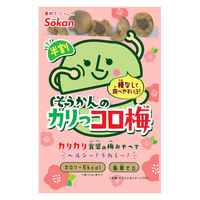 塩分チャージ 梅 食べきりサイズ そうかんのカリっコロ梅　22g 1セット(1個×10)