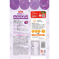 グミ 小袋 お配り菓子 ラカント低糖質グミ MOGYUit レッドグレープ味 20g×6袋入 1個