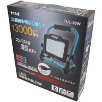 三共コーポレーション LED薄型投光器 30W TUL-30W 1個（直送品）