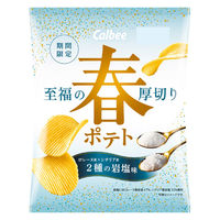 ポテトチップス 食べきりサイズ 春ポテト 2種の岩塩味 60g 1セット（1個×6）