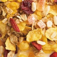 ドギーマン 六穀のめぐみ ぺろっとグラノーラ フルーツミックス りんご味 国産 250g 1袋 ドッグフード 犬用 おやつ