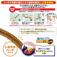 キャティーマン 猫ちゃん ホワイデント ふれあい歯磨き ハードFit かつお 国産 25g 1袋 ドギーマンハヤシ 猫用 おやつ 歯磨き