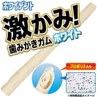 ドギーマン ホワイデント 激かみ！歯みがきガム ホワイト スティック Ｓ 小型犬向き 48本 1袋 犬用 おやつ 歯磨き