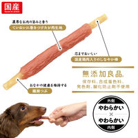 ドギーマン ごちそう肉巻き 国産鶏 ささみ 国産 8本（60g）1袋 ドッグフード 犬用 おやつ