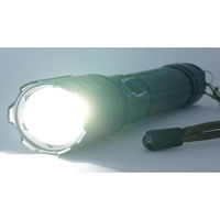 リッチボンド USB・マックスLEDライト 2000Lm KB-36 1台（直送品）