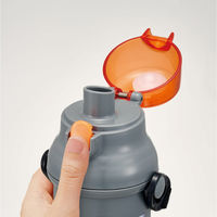 スケーター 水筒 480ml 抗菌直飲プラボトル NARUTO 476356 1個（直送品）