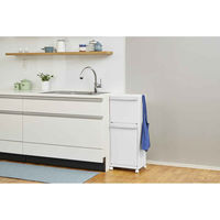 天馬 ゴミ箱 40L ホワイトラッシュ 多段 分別 481466 1個（直送品）