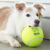 ダルトン ボール おもちゃ 犬 DULTON TENNIS BALL SET OF 3 M 3個入り 482179 1個（直送品）