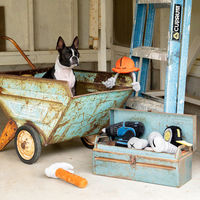 ダルトン おもちゃ 犬 DULTON プラッシュトイ DRILLDRIVER 482189 1個（直送品）