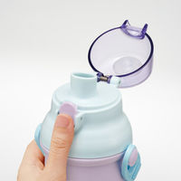 スケーター 水筒 480ml 抗菌直飲プラボトル リトルユニコーン 482952 1個（直送品）