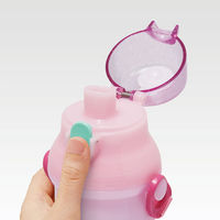 スケーター 水筒 480ml 抗菌直飲プラボトル ギャビーのドールハウス 483886 1個（直送品）