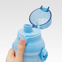 スケーター 水筒 480ml 抗菌直飲プラボトル シナモロールビックリボン 483883 1個（直送品）