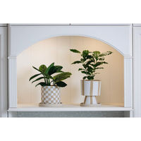 デルキ 植木鉢 ソンブラポット S 受け皿付き ホワイト 484607 1個（直送品）