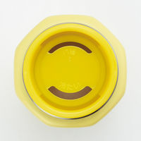 スケーター 水筒 500ml 八角ステンレスボトル ポケットモンスター 493665 1個（直送品）