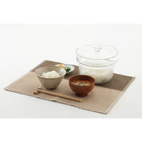 イシガキ 電子レンジ調理鍋 18cm 耐熱ガラス製 デリッシュライフ 耐熱ガラスマルチポット 493945 1個（直送品）