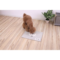 サンベルム ペットマット 40×30cm PallyPallyPET ランチョンマット 犬 猫 はっ水 アイボリー 494344 1個（直送品）