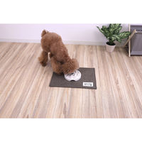 サンベルム ペットマット 40×30cm PallyPallyPET ランチョンマット 犬 猫 はっ水 ブラウン 494345 1個（直送品）