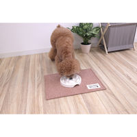 サンベルム ペットマット 40×30cm PallyPallyPET ランチョンマット 犬 猫 はっ水 ピンク 494343 1個（直送品）