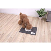 サンベルム ペットマット 40×30cm PallyPallyPET ランチョンマット 犬 猫 はっ水 グレー 494346 1個（直送品）