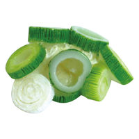 アルタ 箸 すべらせん箸 上 箸置きセット ネギ 495120 1個（直送品）