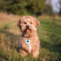 ルークラン ライト 散歩 犬 ウルトラLED ループセイフ ウルトラLEDプラス ホワイト 495839 1個（直送品）