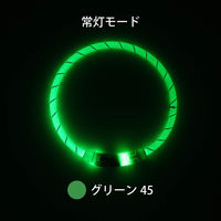 ルークラン ライト 散歩 犬 ループセイフ LEDリング 45 グリーン 495845 1個（直送品）