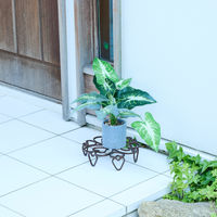 SANKA 花台 のせるんです ハート 240 直径24cm 496616 1個（直送品）