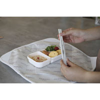 シービージャパン 箸 アニボール 抗菌箸 シロクマ 497340 1個（直送品）