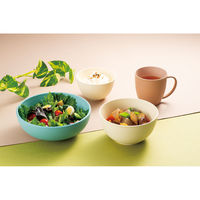 ミタニ bitie 19cm ボウル 抗菌加工 ブルー 497641 1個（直送品）