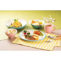 ミタニ プレート bitie レンジ丸皿 抗菌加工 ブルー 497624 1個（直送品）