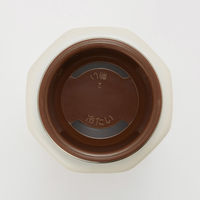 スケーター 水筒 500ml 八角ステンレスボトル500ml SNandBEAR 497689 1個（直送品）