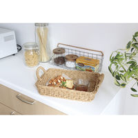 クレエ キッチンバスケット ユティル トレイ L ナイール 497722 1個（直送品）