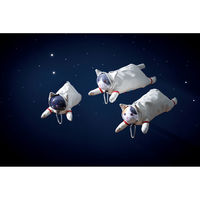 セトクラフト ペンケース アストロキャット ネコ 猫 筆箱 クロ 499057 1個（直送品）