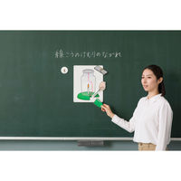 ナナミ 書き込み式ものの燃え方と空気の流れ説明セット 学習用品・理科教材 108548 1セット（直送品）