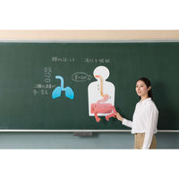 ナナミ 書き込み式呼吸と消化・吸収説明セット 学習用品・理科教材 108549 1セット（直送品）