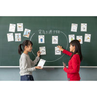 ナナミ 磁性・通電カード 学習用品・理科教材 145296 1セット(16枚)（直送品）