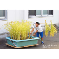 ナナミ 大型プランター ガーデニング資材 145356 1セット（直送品）