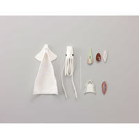 ナナミ イカの解剖演習モデル 学習用品・理科教材 195414 1セット（直送品）