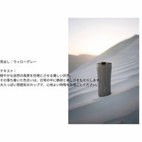 ファンプロジェクト STTOKE ストーク タンブラー Lサイズ 12oz 355ml ウィローグレー 480624 1個（直送品）