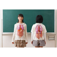 ナナミ 臓器の位置体感ベスト 学習用品・理科教材 195415 1セット（直送品）